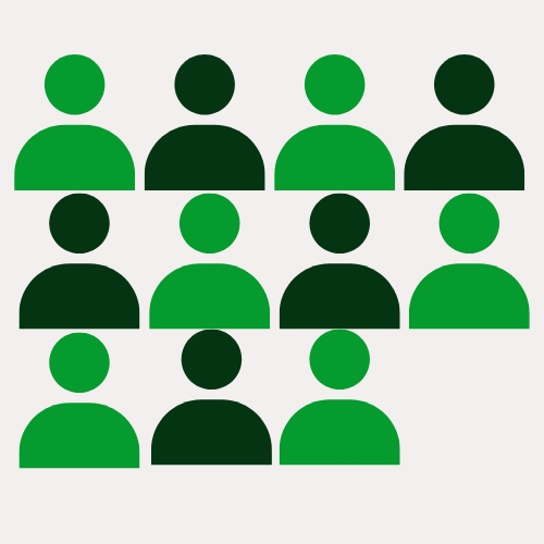 Zia + 11 Profissionais