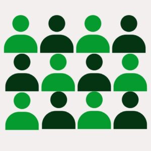 Zia + 12 Profissionais