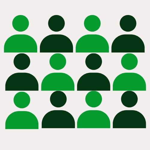 Zia + 12 Profissionais