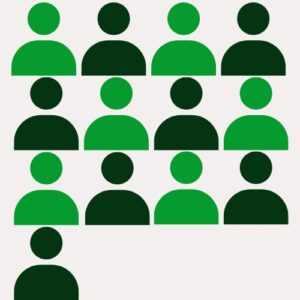 Zia + 13 Profissionais