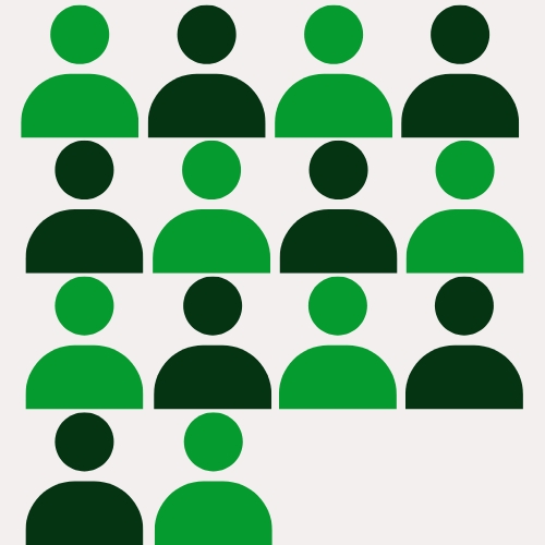 Zia + 14 Profissionais