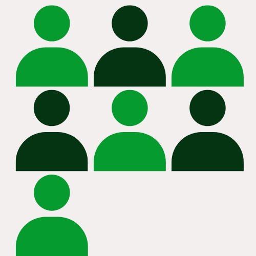 Zia + 7 Profissionais